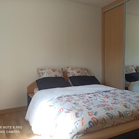 Super Appartement Avec Terasse ビシュハイム エクステリア 写真